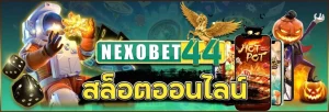 nexobet44